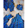 Im blauen Netz, 40 x 60 cm, Linoldruck